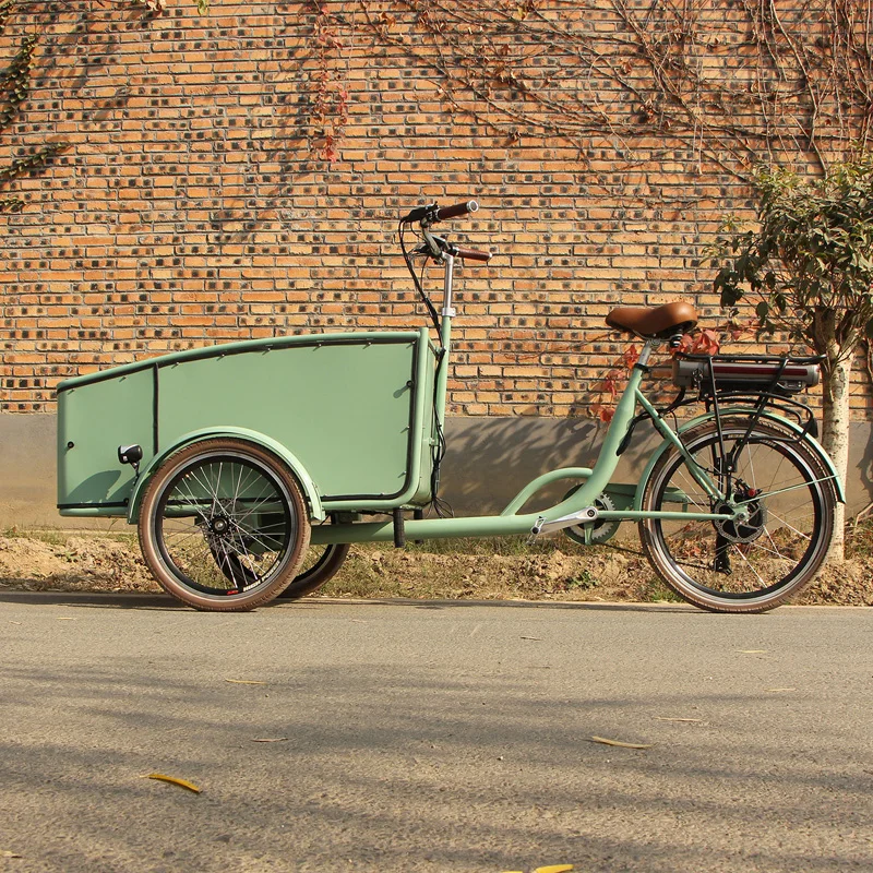 3輪電動自転車大人用電動三輪車オランダ| Alibaba.com