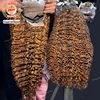 burmese curly