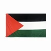 palestine flag