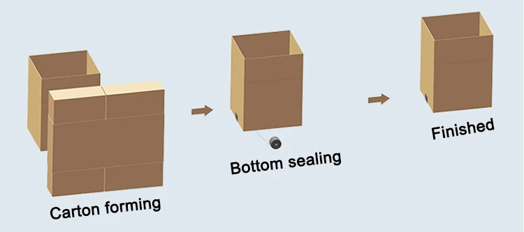 automatic carton box case erector machine.jpg