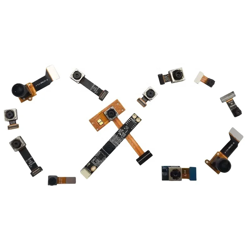 China Factory Omnivision OV5647 OV5695 OV5675 OV5693 OV5640 5mp Mini Mipi Cmos Camera Sensor Module for Intelligent Equipment