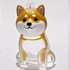 White Shiba inu
