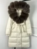 Beige marrone