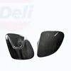 Carbon Fiber