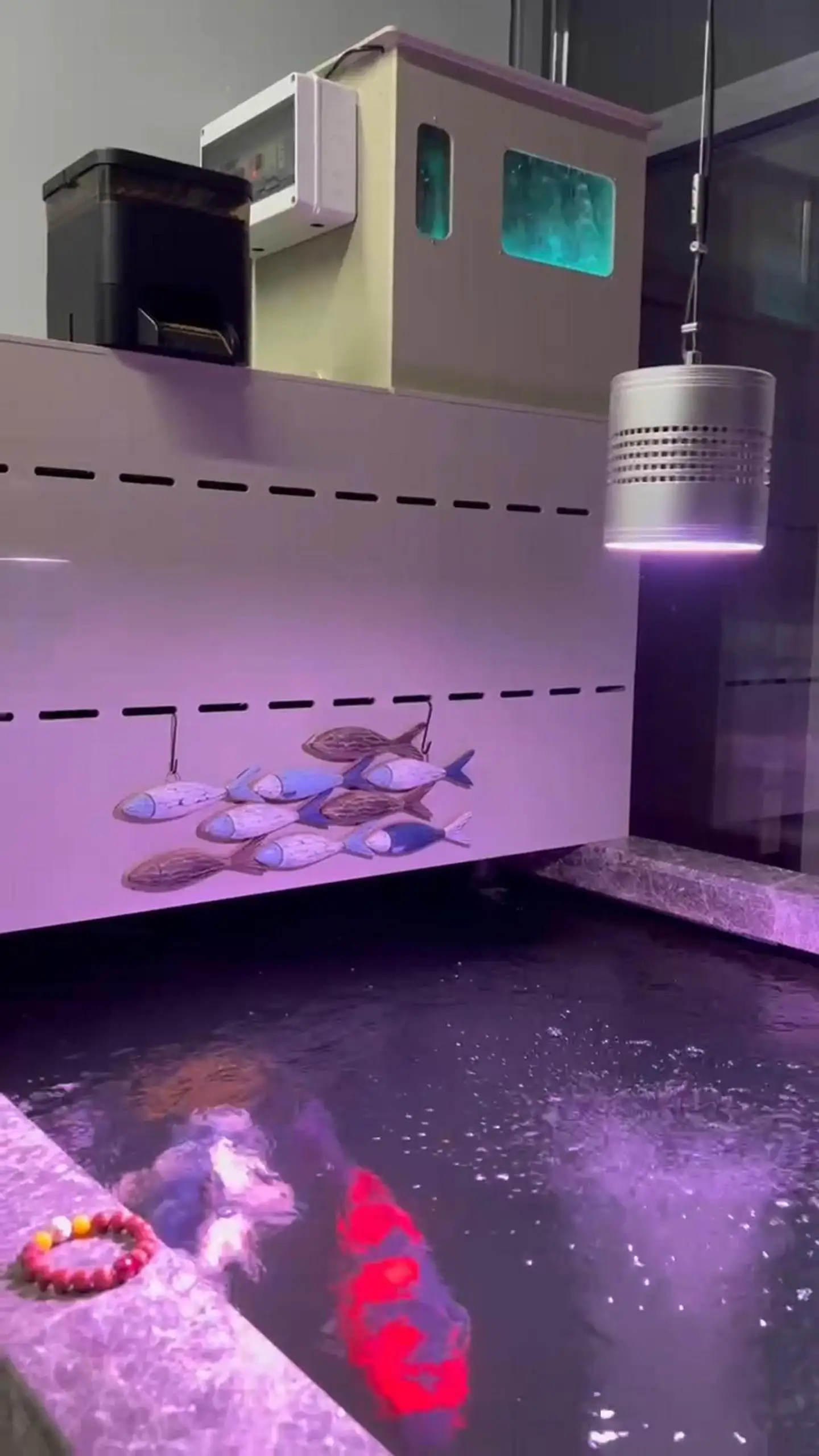 Recirculating Aquaculture System - Efficient Fish Farming