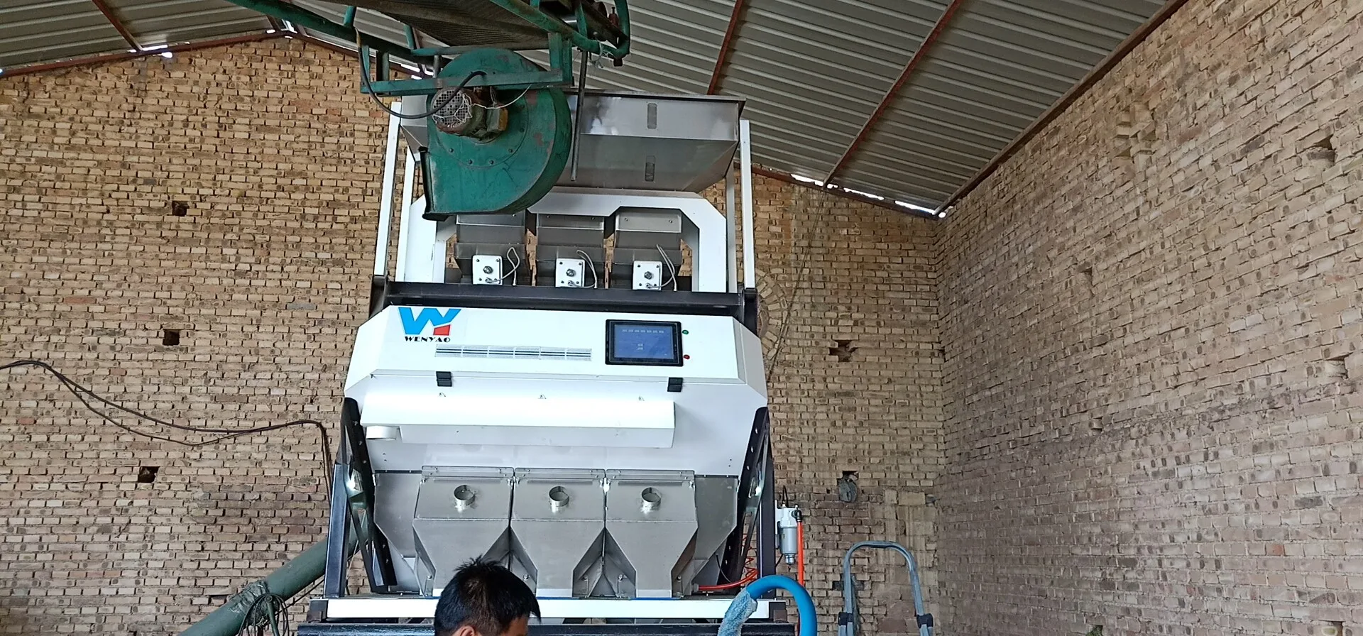 High Performance Dried Fig Color Sorter Machine Dried Fruit Color Sorting Machine Sesame Seeds Color Sorter