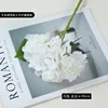 White (small)