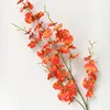 Arancione