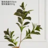 Three-pronged happiness leaf deep green