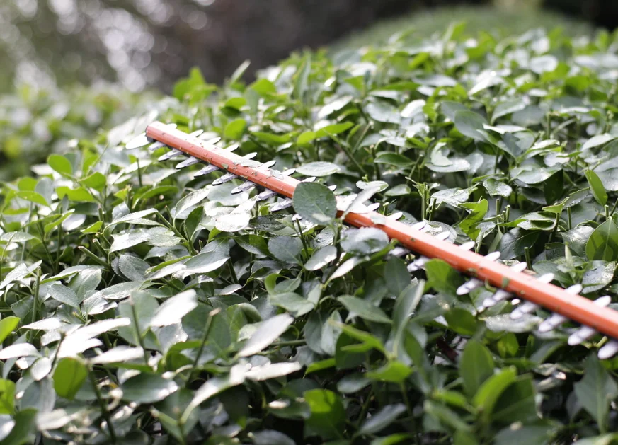 Multi Functional Grass Cutter Multi Function Brush Cutter 2 Stroke