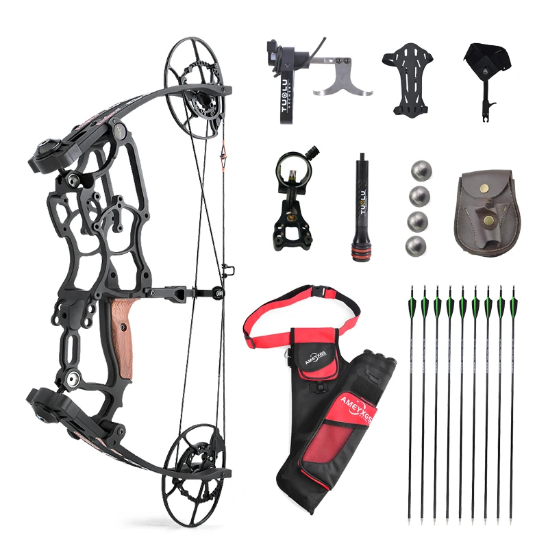 Archery Compound Bows Arrow Hunting Adjustable Draw Weight Compound Bow Shooting Steel Ball and Arrow Dual Purpose for Hunting