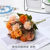 Mary hydrangea-orange-dark leaves