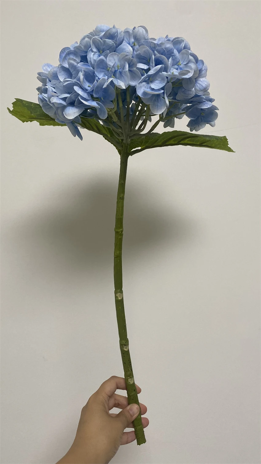 pflanztopf hoch innen Innen/Auen Pflanzkbel Groer Schwarzer Pflanztopf Quadratisch  41 Cm Hoch,  Kunststoff, Fr Innen & Auen Quadrat Pflanzkbel