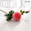 deep pink Rose