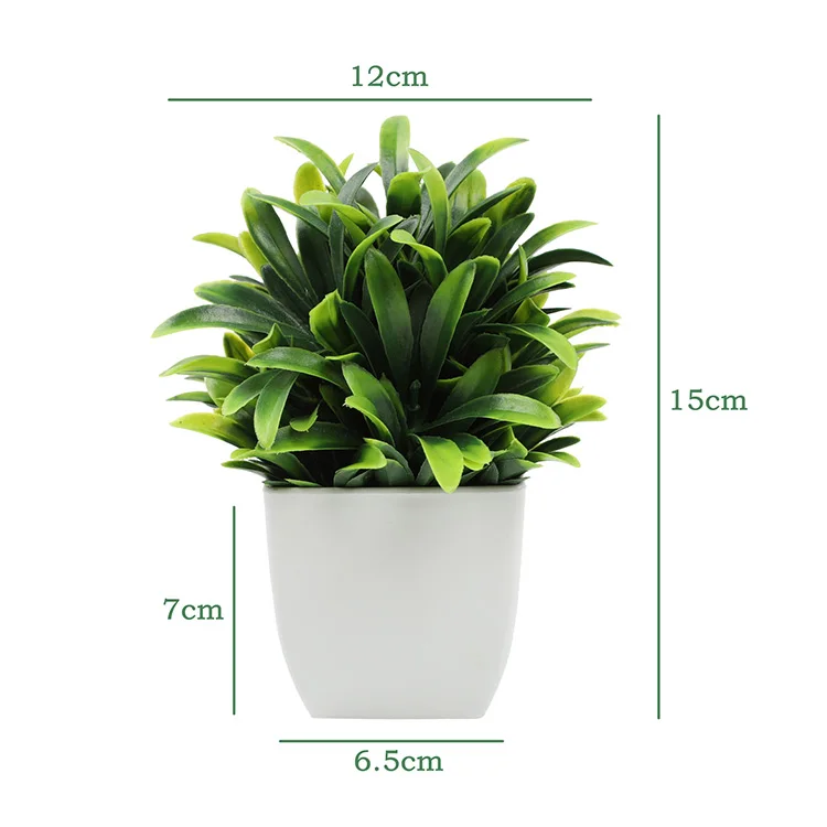 albo monstera for sale Monstera Albo Variegata Plant – HappiestPlants