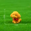 Teddy