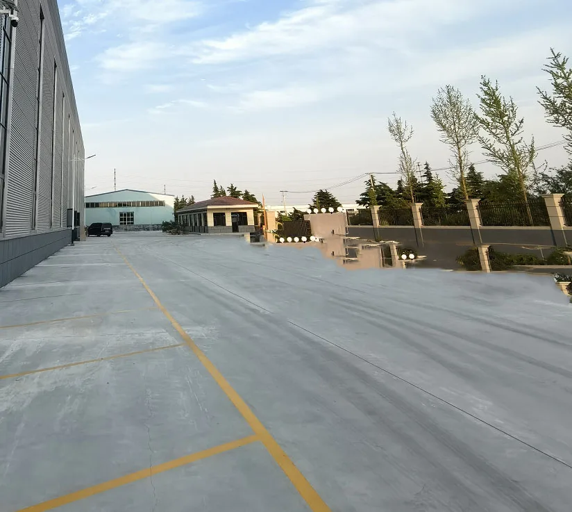 Chongqing Ailinyou Technology Co., Ltd. 1