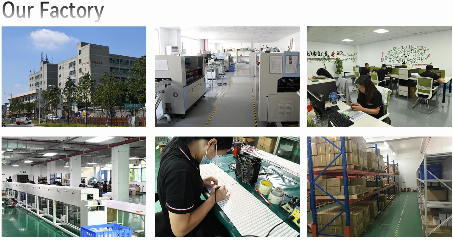 12V 10mm  High CRI Bi-Color LED Strip 2835 240led/m CCT tunable Ra95 led ribbon