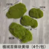 4 sachets de mousse jaune-vert