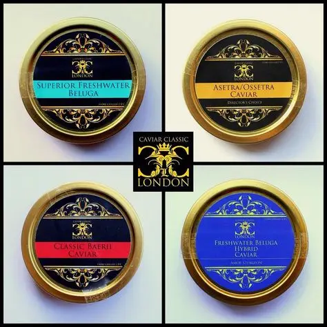 Wholesale metal 50g gold round empty caviar tin box spoon custom caviar tins can for caviar packing with tin lid details