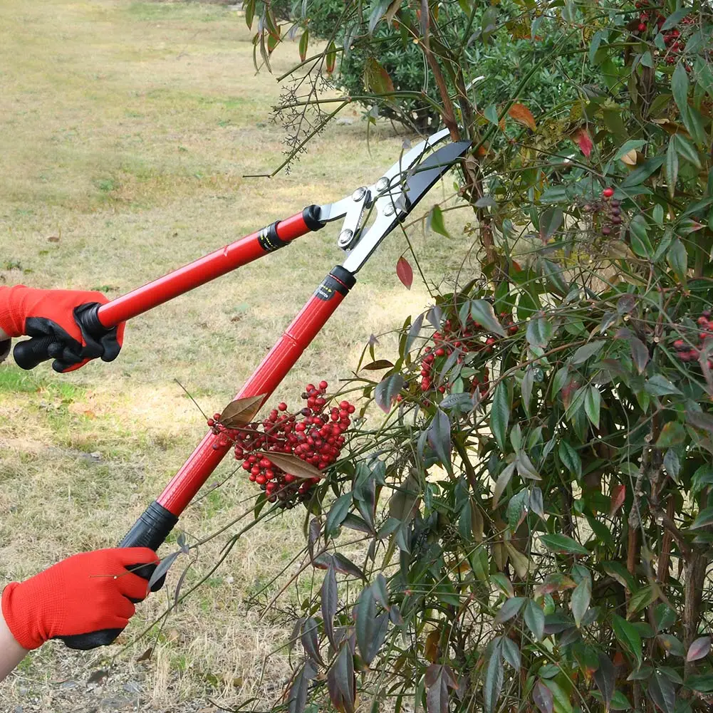 Adjustable Garden Cutting Tools Long Reach Telescopic Bypass Loppers