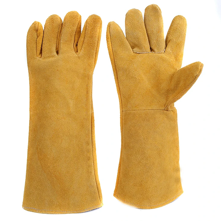 yellow gloves (1).jpg