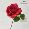 Un capullo de rosa roja
