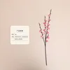 Model b rose pink