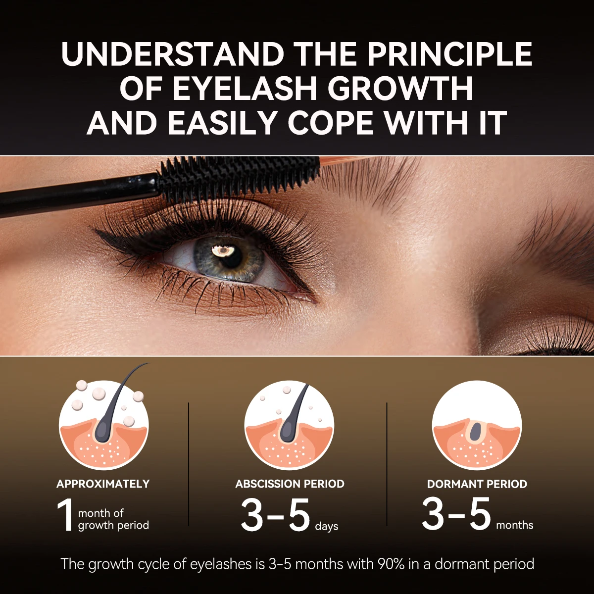 Lanbena Wholesale Natural Organic Eyelash Growth Treatments Eye Lash Serum Private Label manufacture