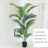 Palm Tree - 190cm