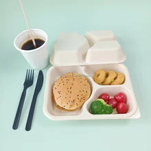 PFAS-Free Biodegradable PET PLA Sealing Film Coated Fibre Pulp Tray for Meat and Food Disposable Lunch Box with Tray Packaging