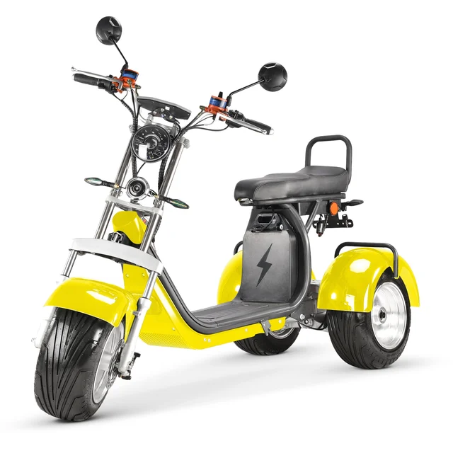 US/EU warehouse Three-wheel citycoco electric electric tricycle adult tricycle cargo electric tricycles three wheel citycoco