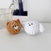 White Dog + Shiba Inu