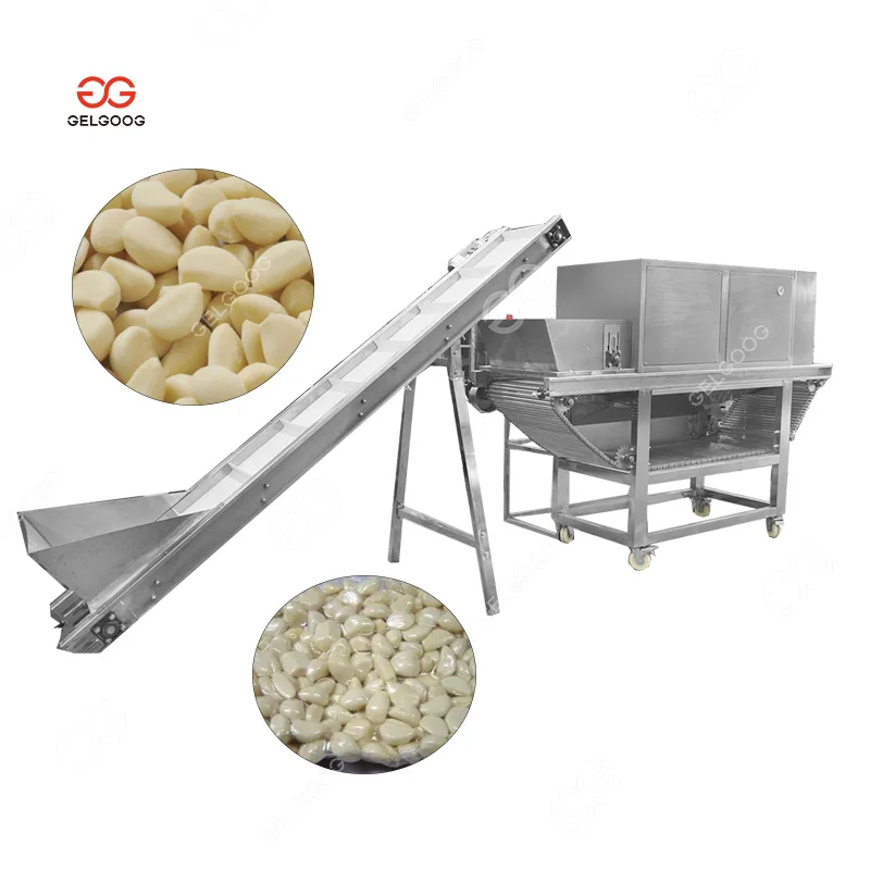 Automatic Large Peeled Garlic Sorter Selecting Peeling Processing Equipment Break Garlic and Peeler Machine 500Kg