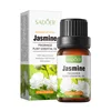 Jasmine 10ml