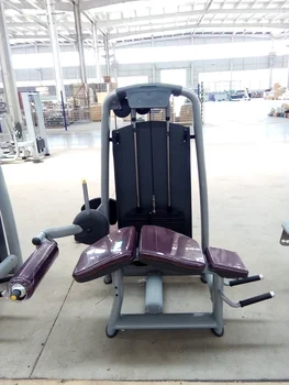 ジム用レッグエクステンション/シートレッグカールコンボマシン