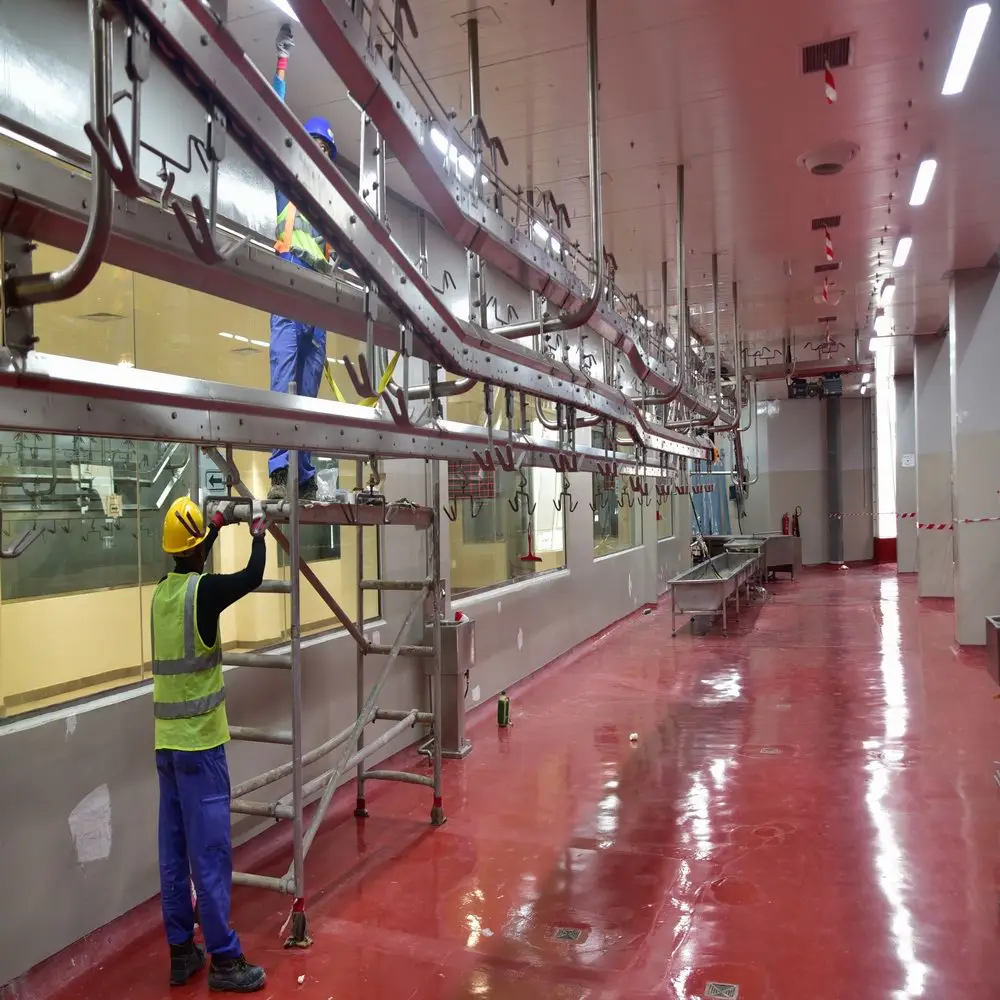 Full Set Sheep Halal Slaughter Line With Slaughter Machine for Butcher Plant