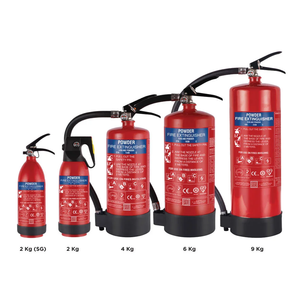 Extincteur Powder Fire Extinguisher Car Mini Extinguishers for Sale Extintores De Incendios Dry Extintor Pqs Extinguisher