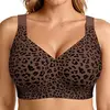 Leopardo marrone