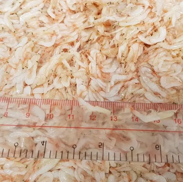 Salted Baby Shrimp 500gram 1kg Jar Drum Bulk Oem High Quality And Good Price From Vietnam Ws