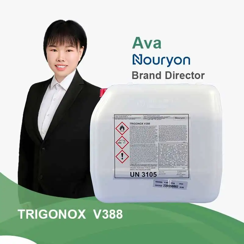 Curing Agent Nouryon Trigonox V388 Curing of Unsaturated Polyester Resin MEKP Grille Process Peroxide