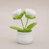 White Double-headed rose