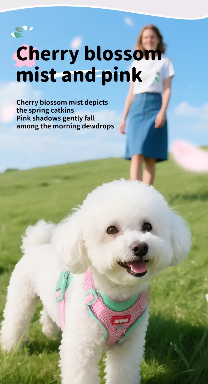 Hot Selling Colorful Vest Style Dog Cat Breathable Harness Leash Adjustable Anti Escape Outdoor Pet Products4