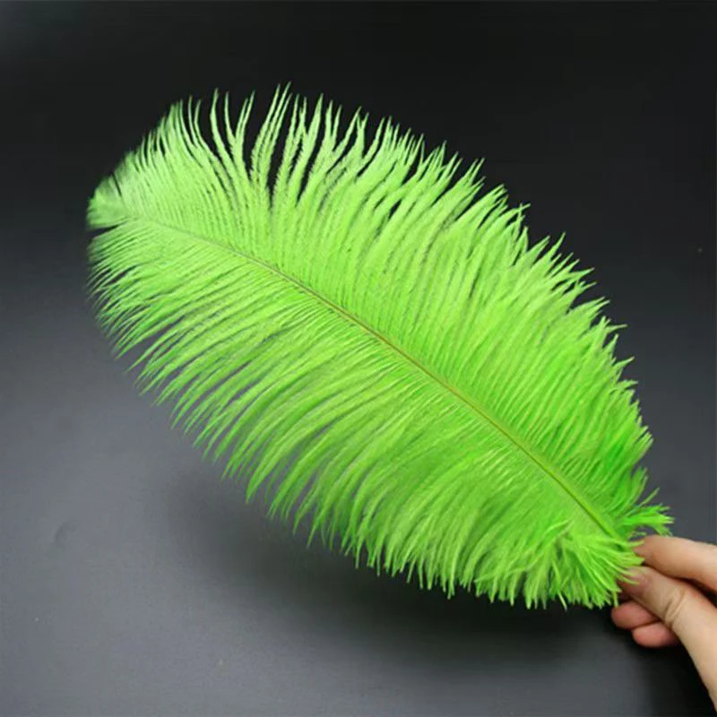 Multi-color Ostrich Large Feather for Wedding Decoration South Africa Bird Real  Art Carnival Costume