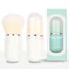 Capsule Retractable Brush White