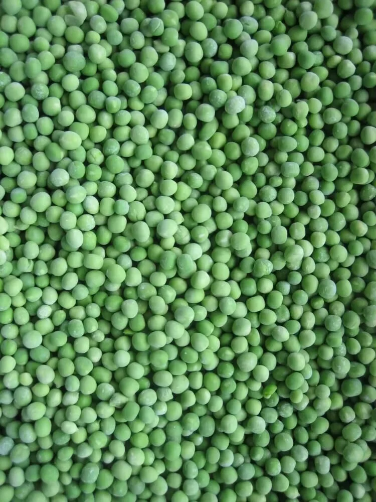 product wholesale iqf frozen green peas bean sprouts vegetables halal certified lqf freezing process 10kg bulk packaging-4