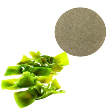 100%Bladderwrack Seaweed Kelp Extract/Kelp plant Powder/Seaweed Extract Powder