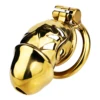 FRRK-311A golden color cage