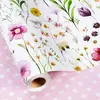 Flowers - Daisy