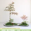 Nandina Set
